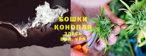 эйфоретик Ельня
