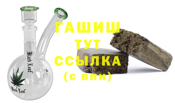 шишки Заволжье