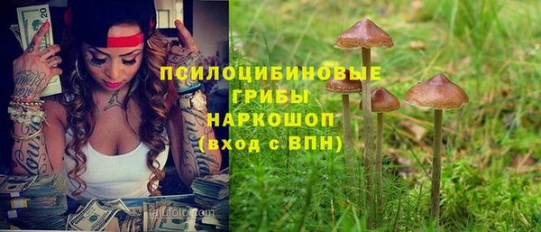 эйфоретик Ельня