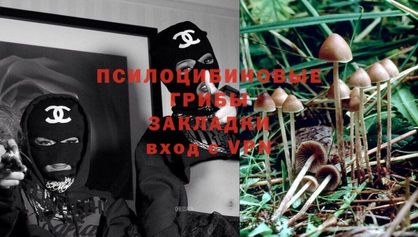 эйфоретик Ельня