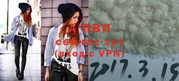 шишки Заволжье