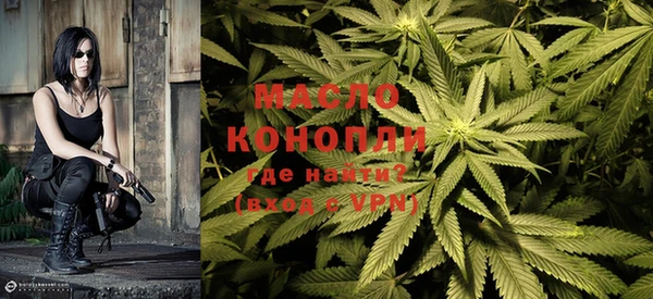 шишки Заволжье