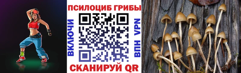 нарко площадка как зайти  Ивантеевка  Галлюциногенные грибы ЛСД 